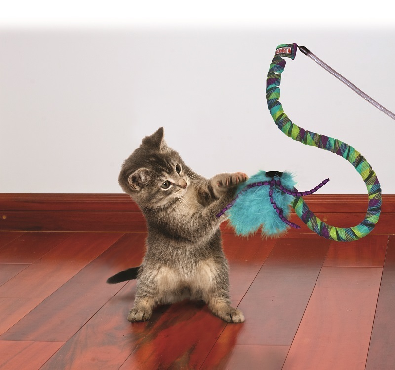 KONG Katzenangeln KONG Cat Curlz Teaser