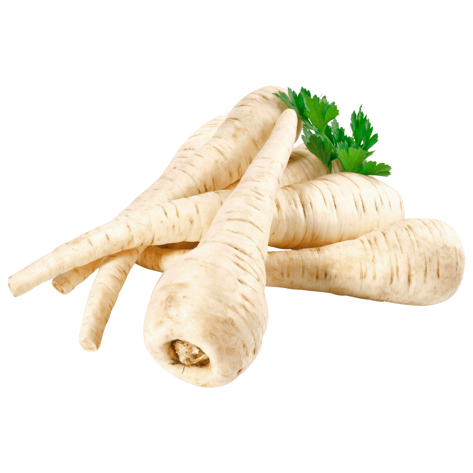 Bio Pastinake 300g