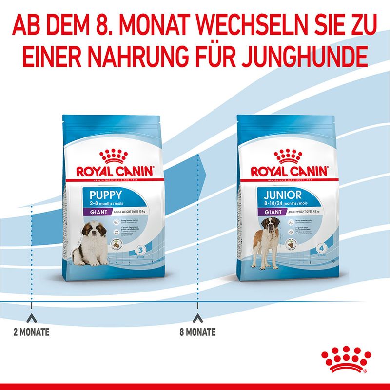 Royal Canin Giant Puppy zu TOP-Preisen