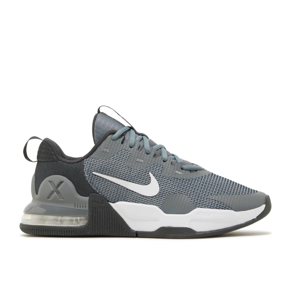 Nike Air Max Alpha Trainer 5 DM0829-003 / grau