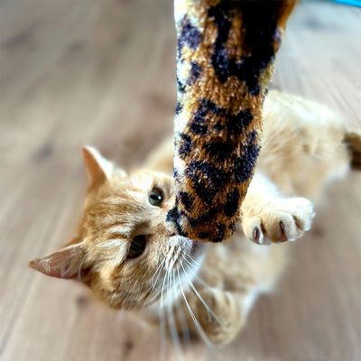Aumüller Welli-Sticks Tiger