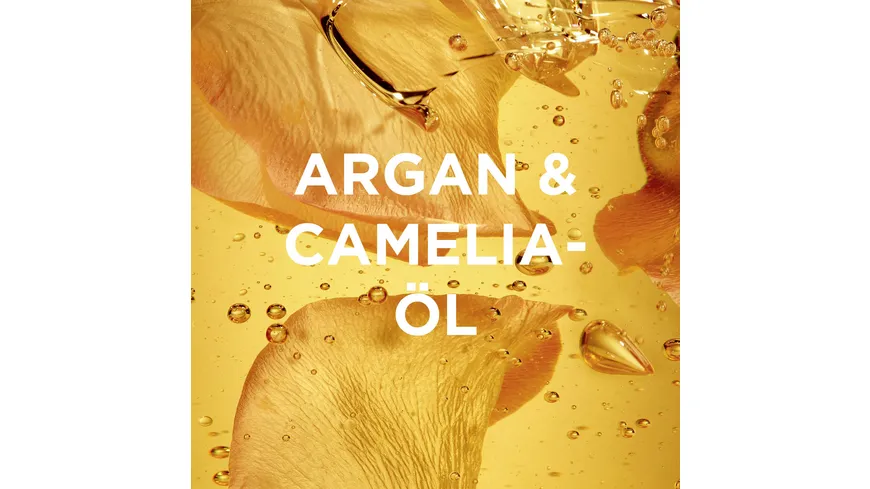 Garnier Wahre Schätze Haarkur Hair Remedy Argan Camelia 340 ml