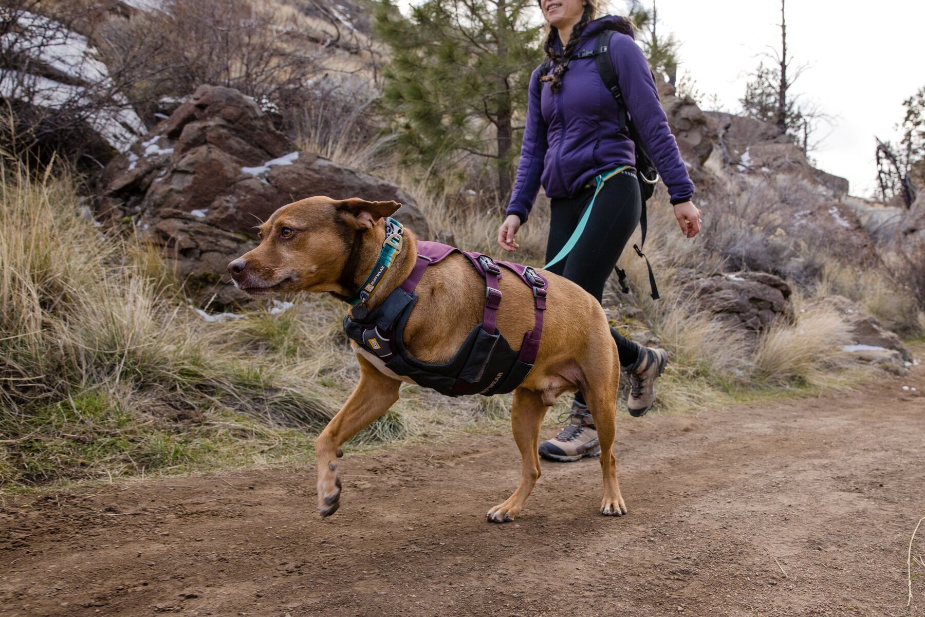 Ruffwear Hundeleinen Ruffwear Crag™ Leine grün