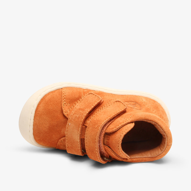 hale peach - Orange