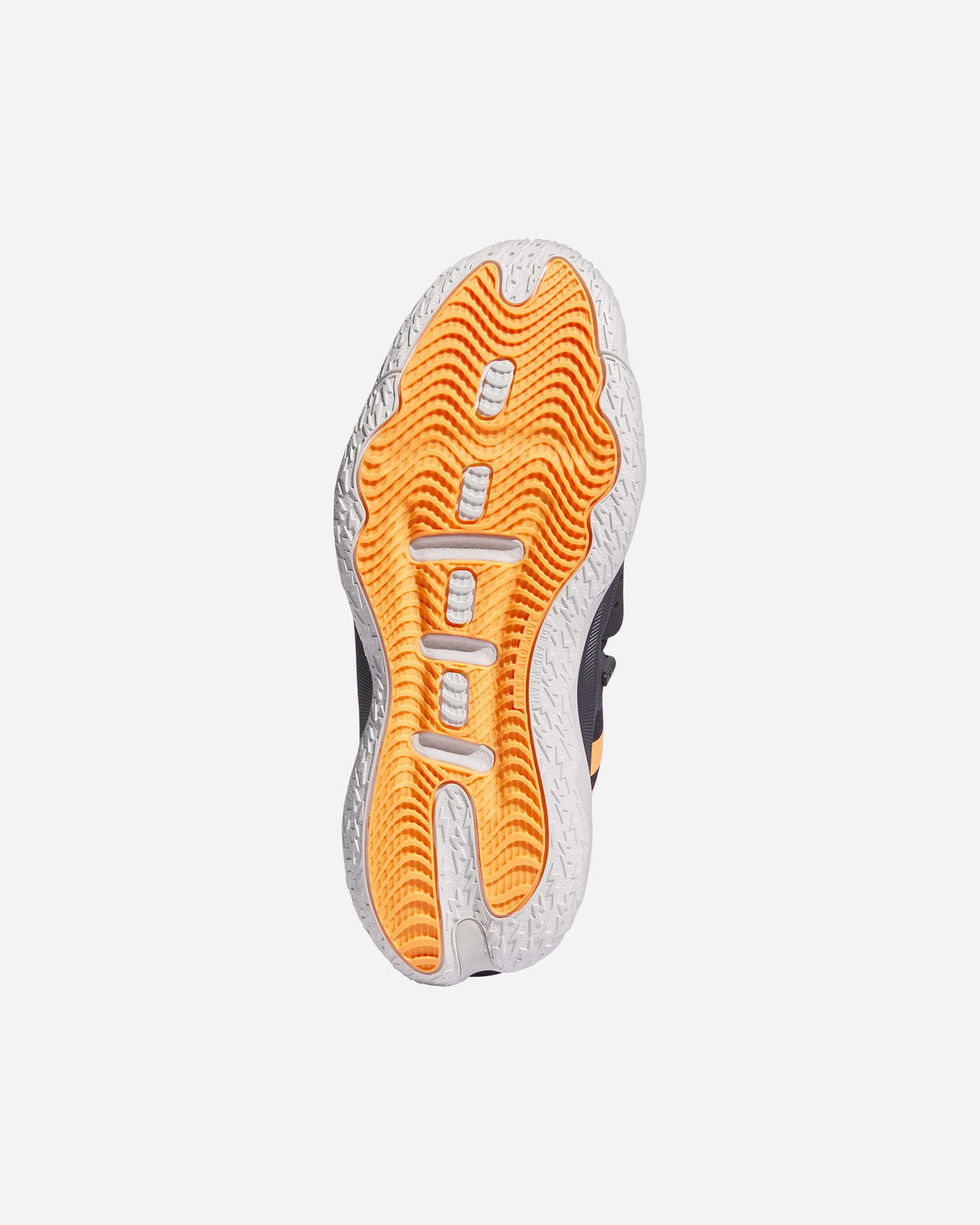 Scarpe Basket Adidas Dame 8 Extply M IF1512