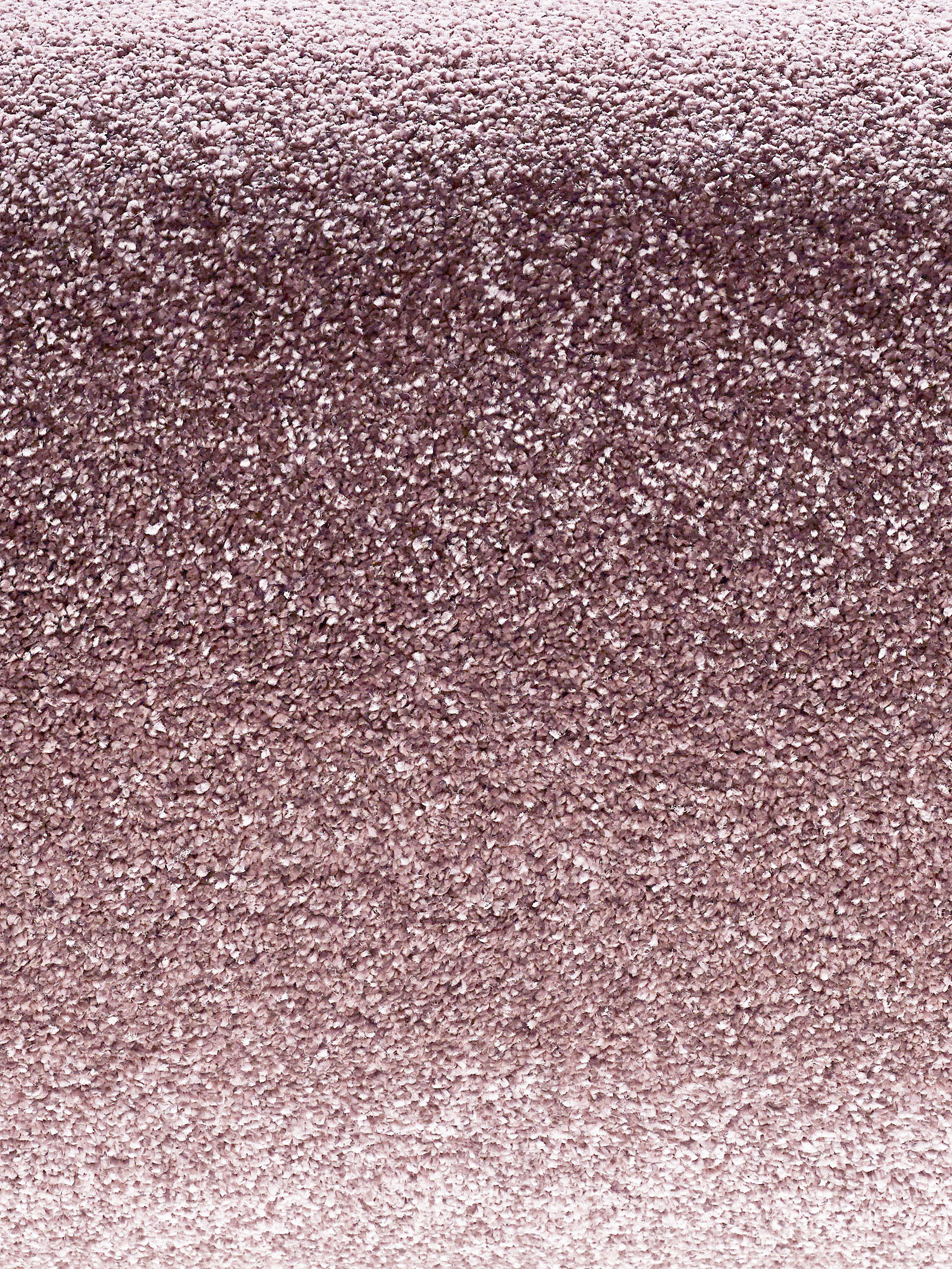 Sovereign Hochflor-Teppich, Mauve