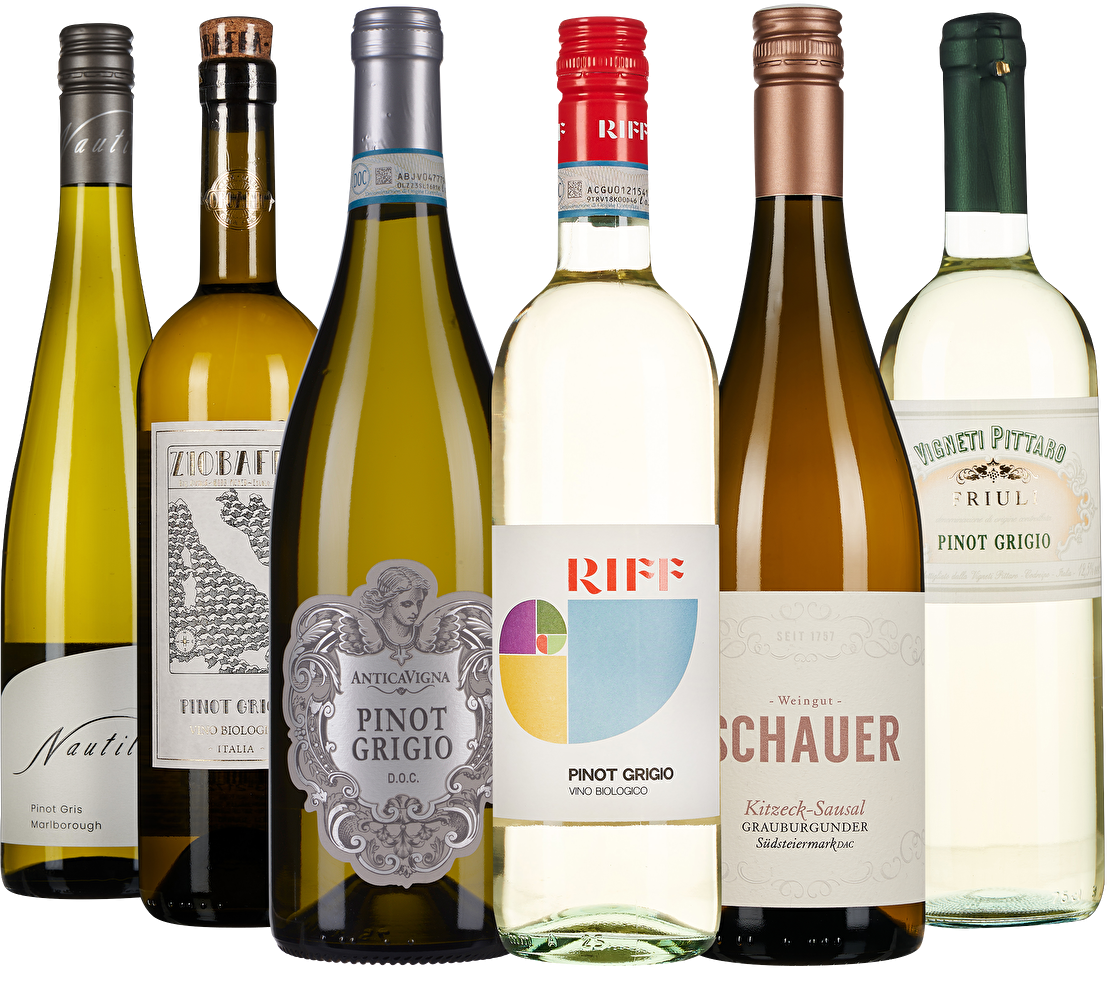 WEIN & CO Grauburgunder Probierpaket