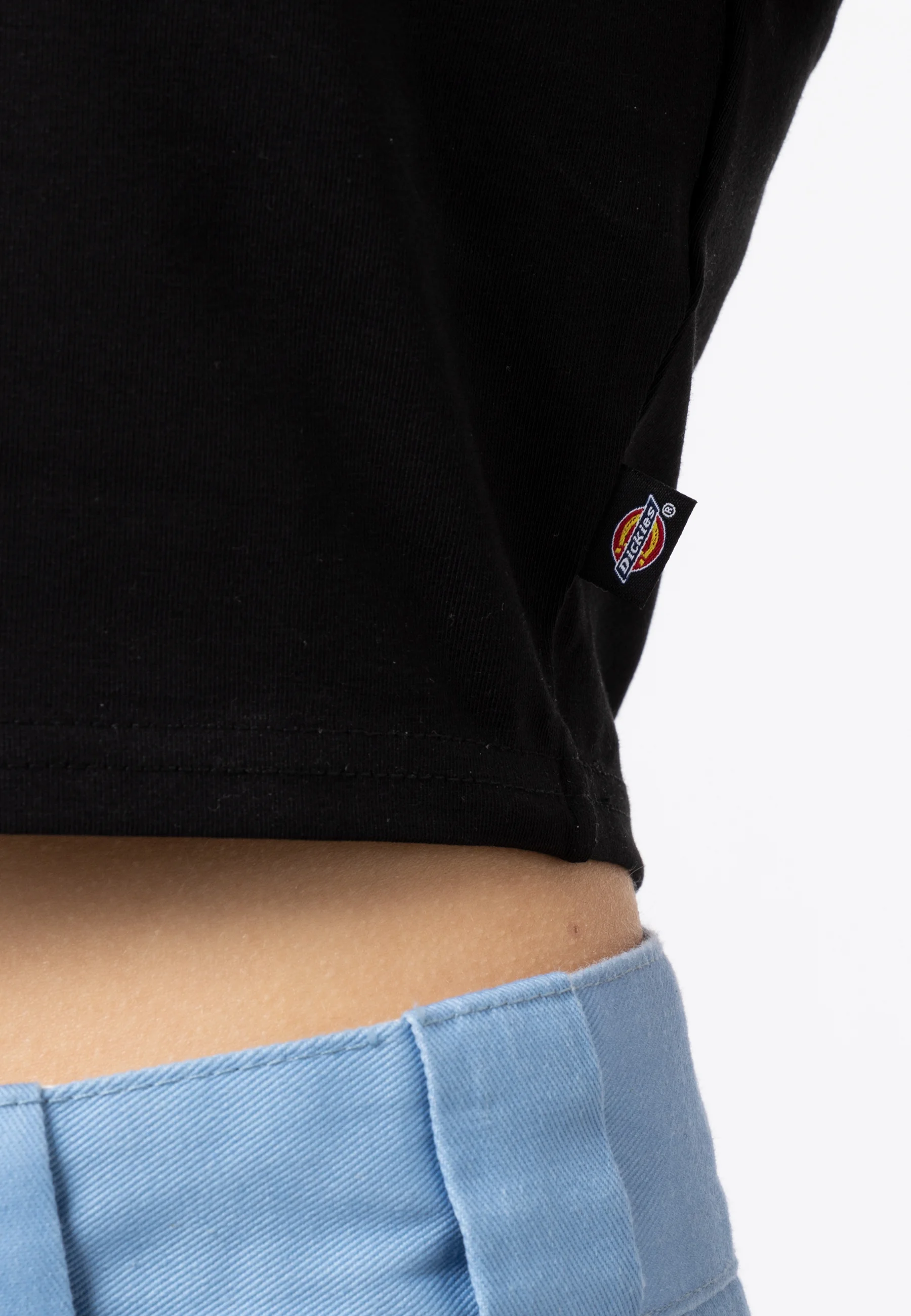 Dickies MAPLE VALLEY TEE - Camiseta con estampado