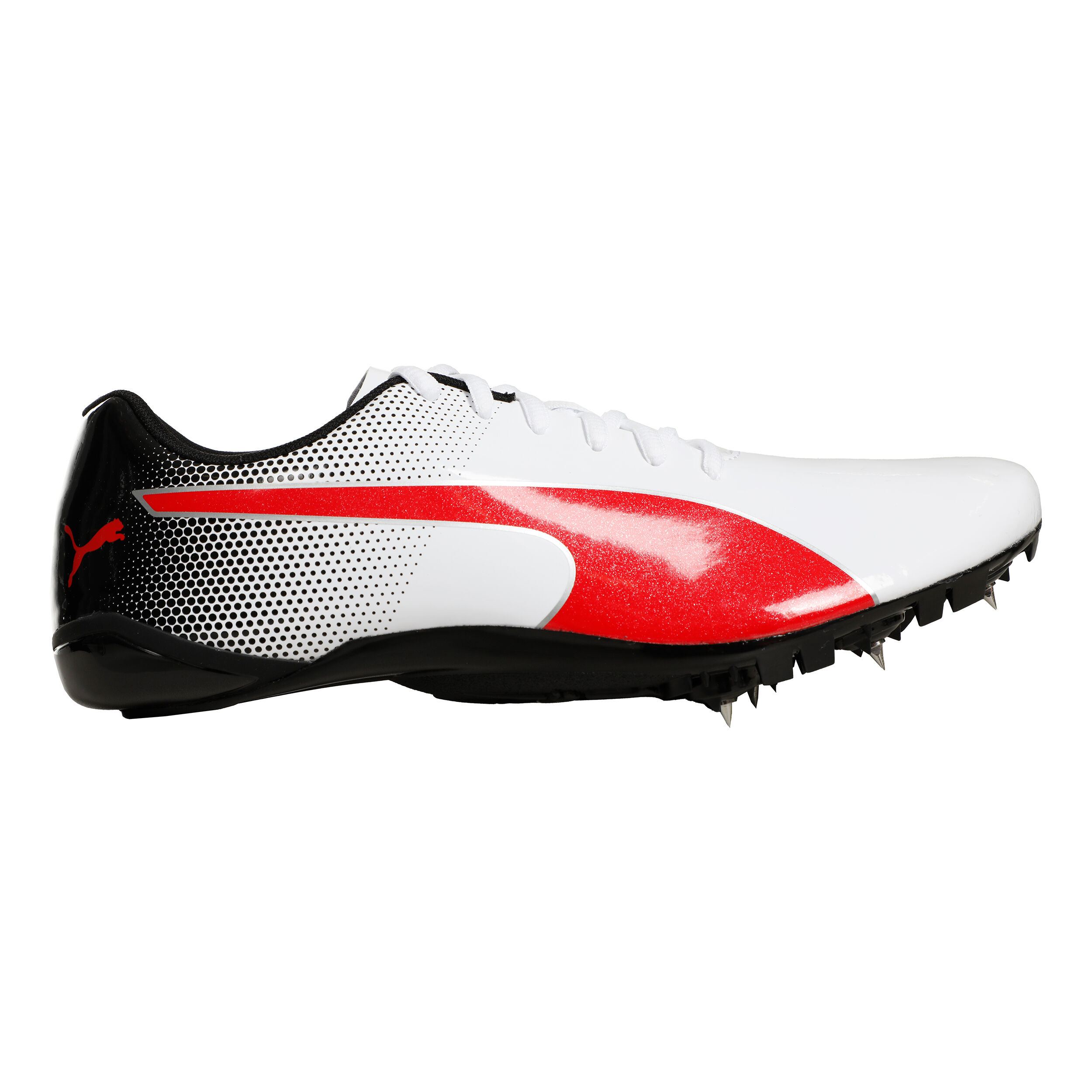 EvoSPEED Prep Sprint 3 Spikeschuh - Weiß, Schwarz
