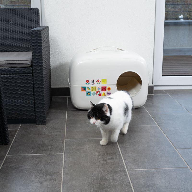 TIAKI Haubentoilette Rex zu TOP-Preisen