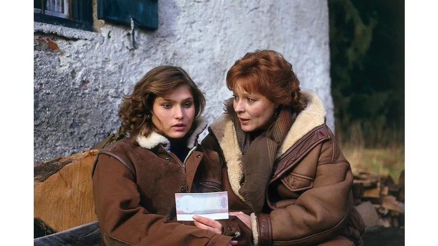 Waldhaus - Die komplette ZDF-Serie in 18 Teilen (Fernsehjuwelen)  [6 DVDs]