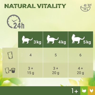 Perfect Fit Natural Vitality Adult 1+