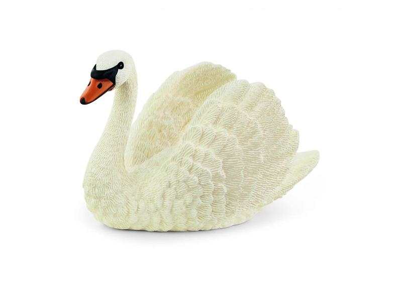 Cygne