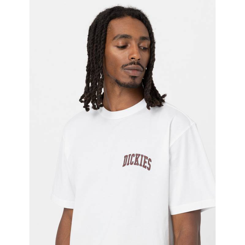 Dickies Aitkin T-Shirt Herren