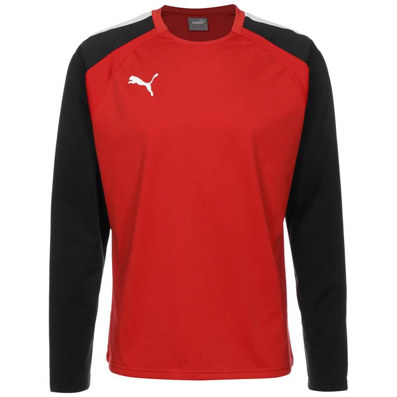 PUMA TeamLIGA Funktionssweatshirt Herren
