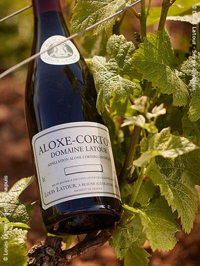 Louis Latour : Aloxe-Corton Village 
