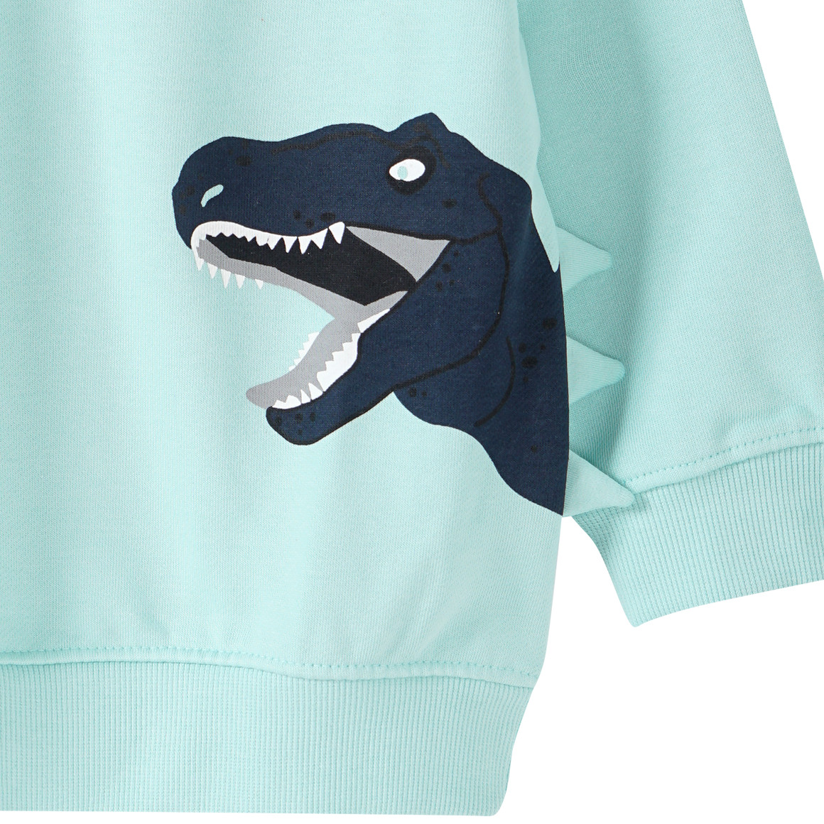 Jungen Sweatshirt mit Dino-Prints