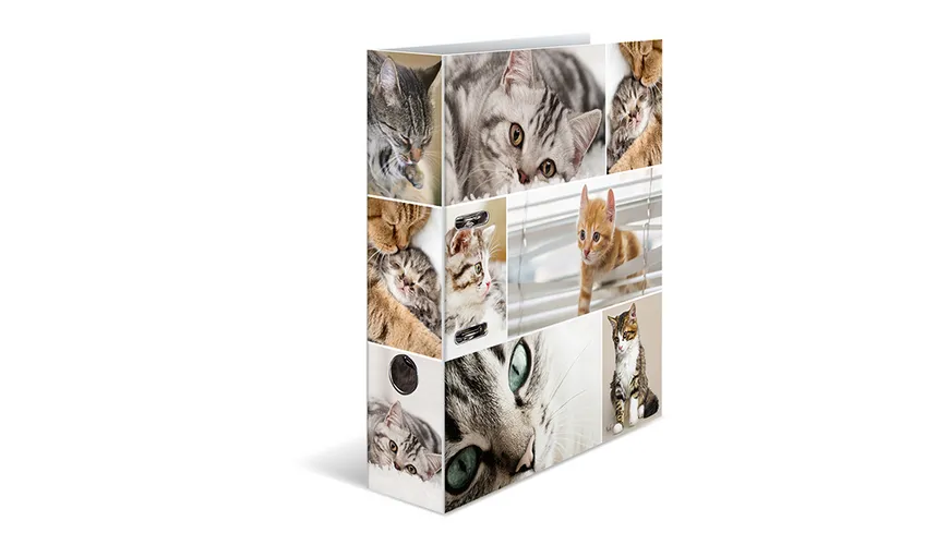 HERMA Motiv-Ordner A4 breit Katzen Motiv