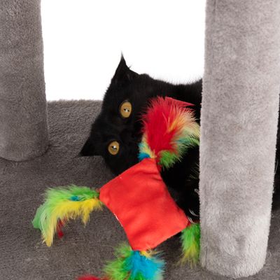 Katzenspielzeug Crinkle Crisps mit Federn