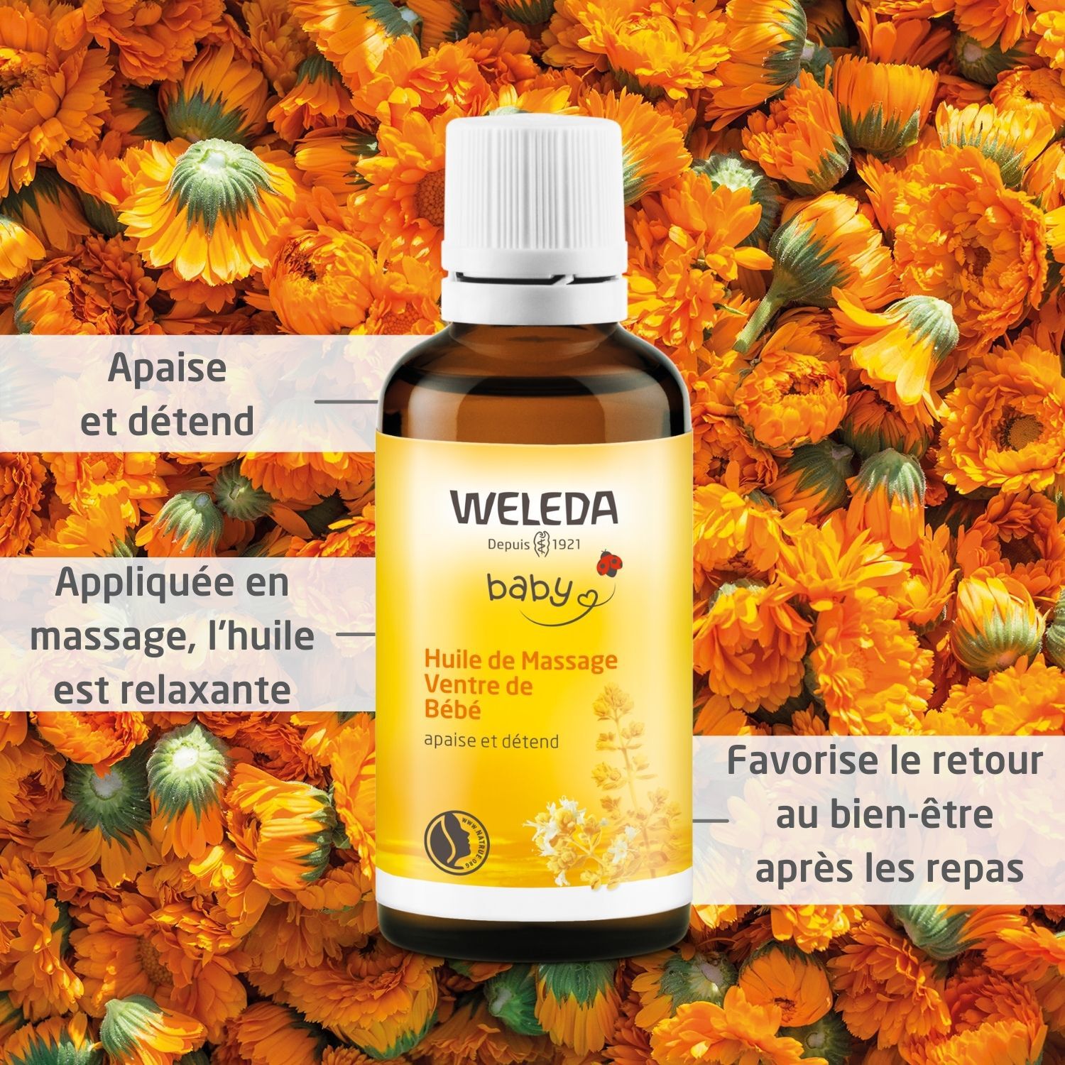 Weleda Baby Huile de Massage Ventre - Apaise et Détend Pendant la Digestion - 50 ml