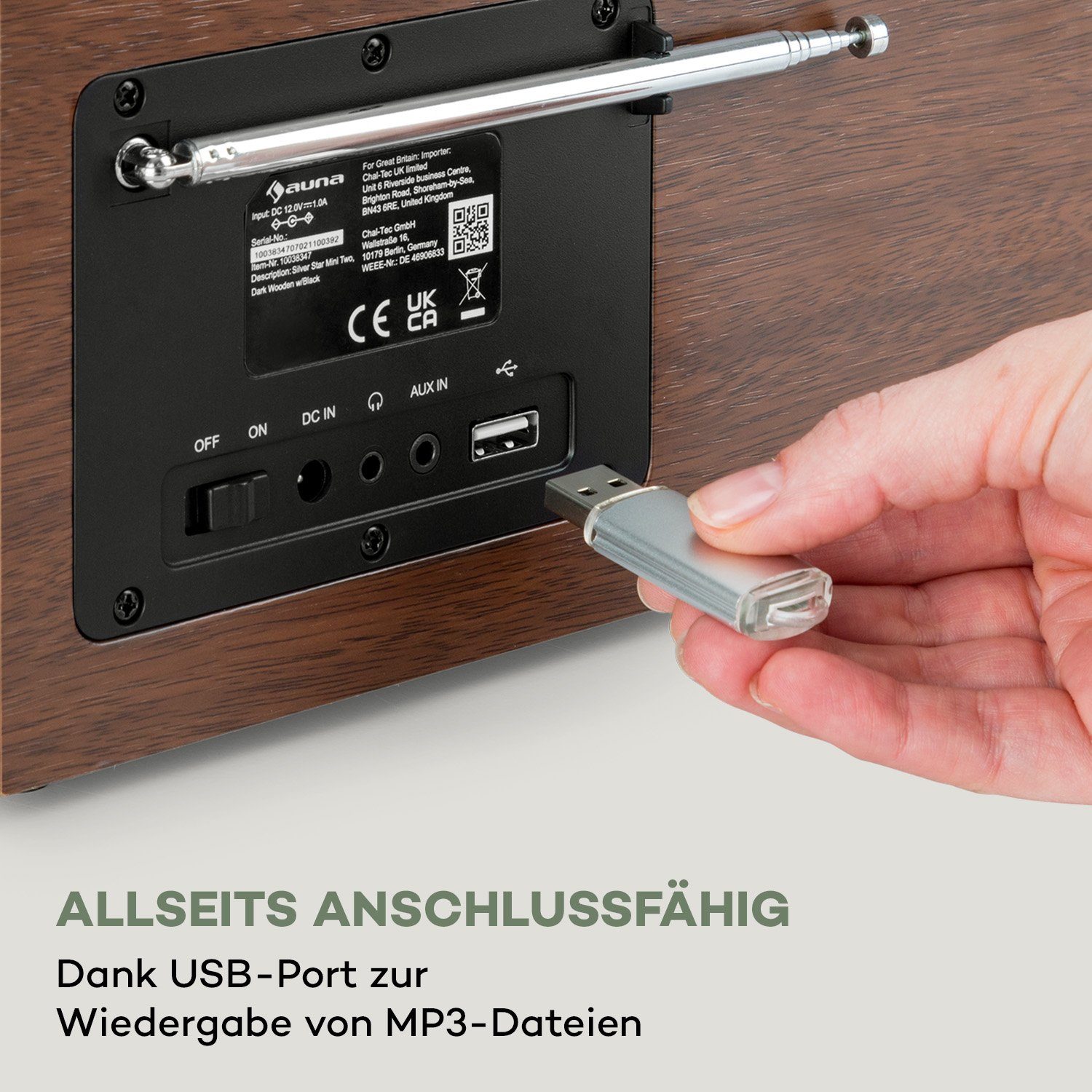 Auna Silver Star Mini Radio (DAB+;UKW;Internetradio, 8 W)