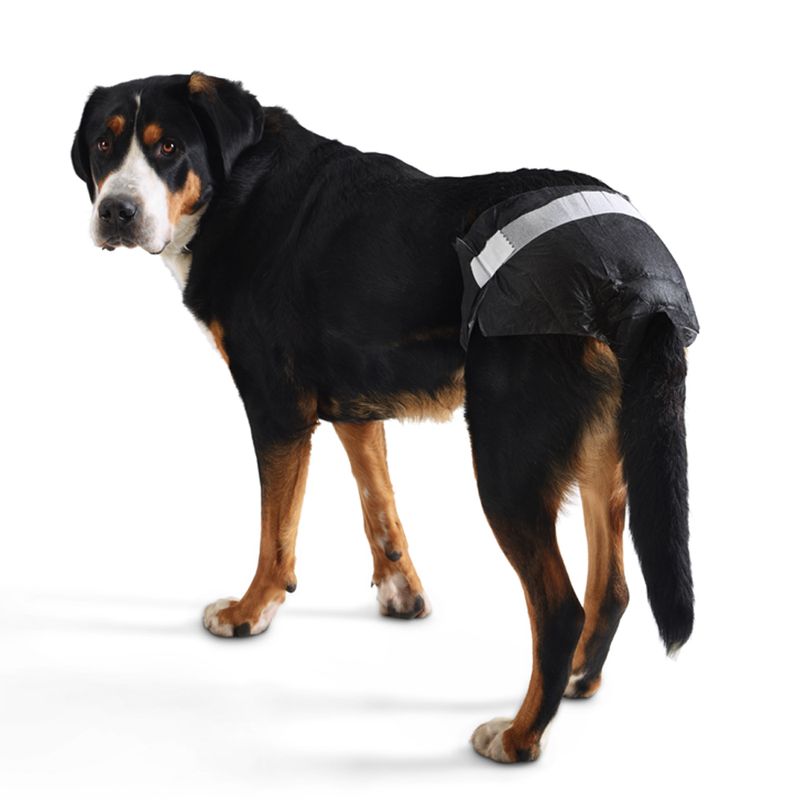 Savic Hundewindel Comfort Nappy zu TOP-Preisen