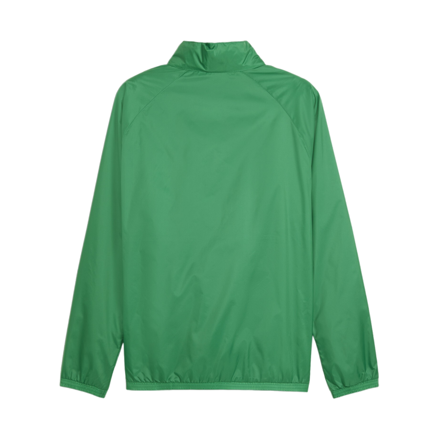 PUMA teamGOAL Allwetterjacke Grün Weiss F05