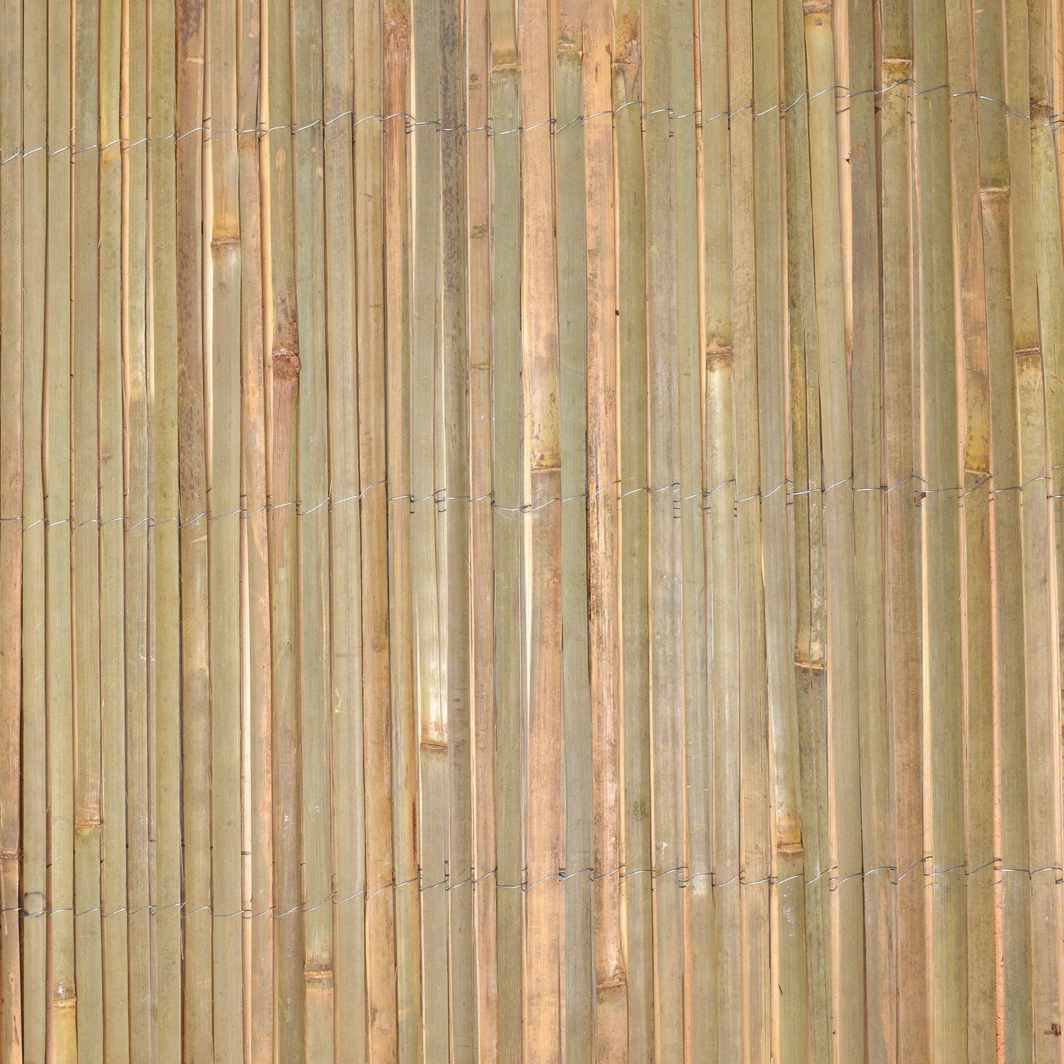 Sol Royal Balkonsichtschutz SolVision B89 Sichtschutz Balkonsichtschutz Bambus 300x100cm