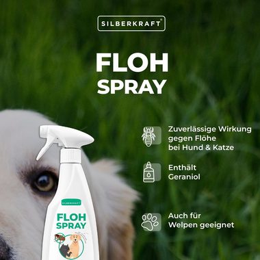 Silberkraft Insektenspray Flohspray Hunde & Katzen, 500 ml, 1-St.