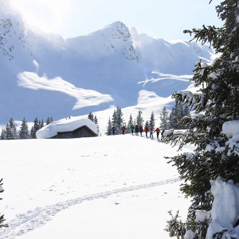 Erlebnis Geführte Skitour für Anfnger Tour