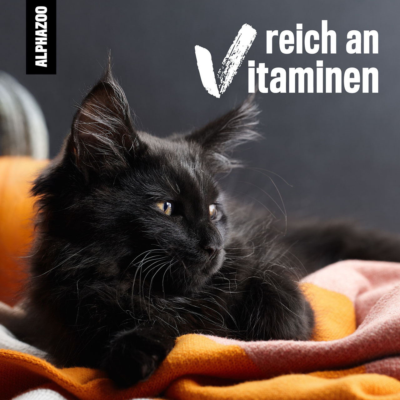 ALPHAZOO Ergänzungsfutter & Aufzucht ALPHAZOO Premium Kürbiskernöl für Hunde und Katzen