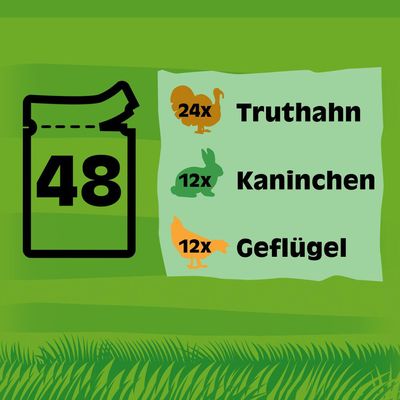 Kitekat Frischebeutel 48 x 85 g