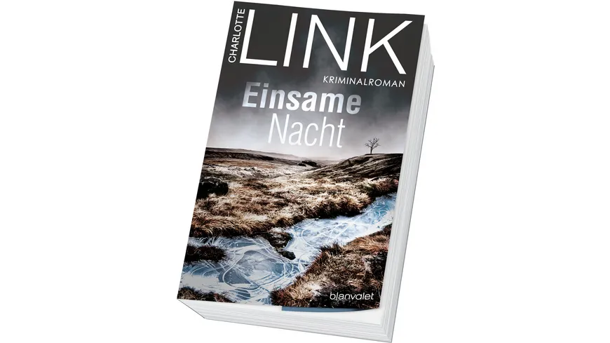 Einsame Nacht