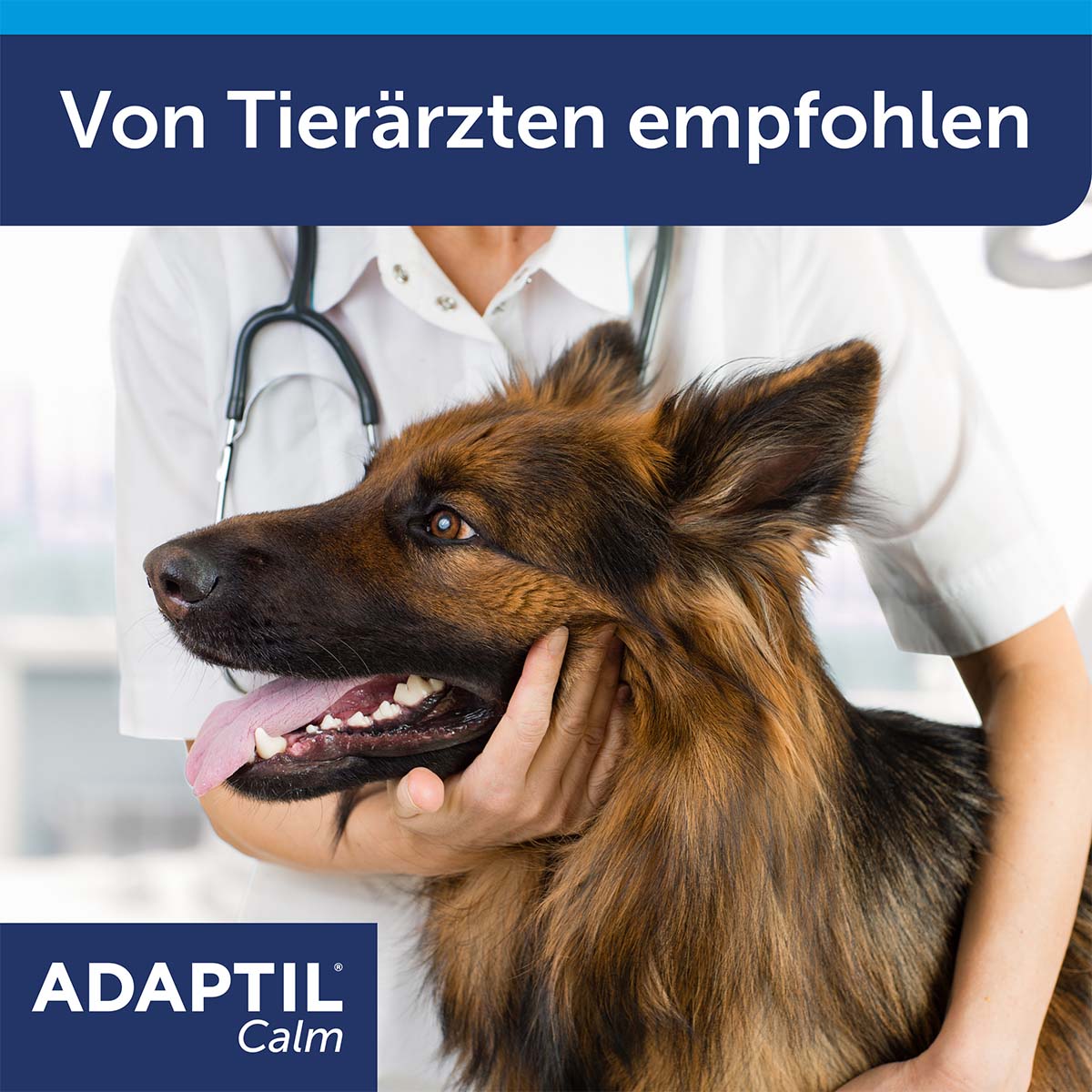 Adaptil Verdampfer 1 Monats-Nachfüllflakon 48ml bei ZooRoyal