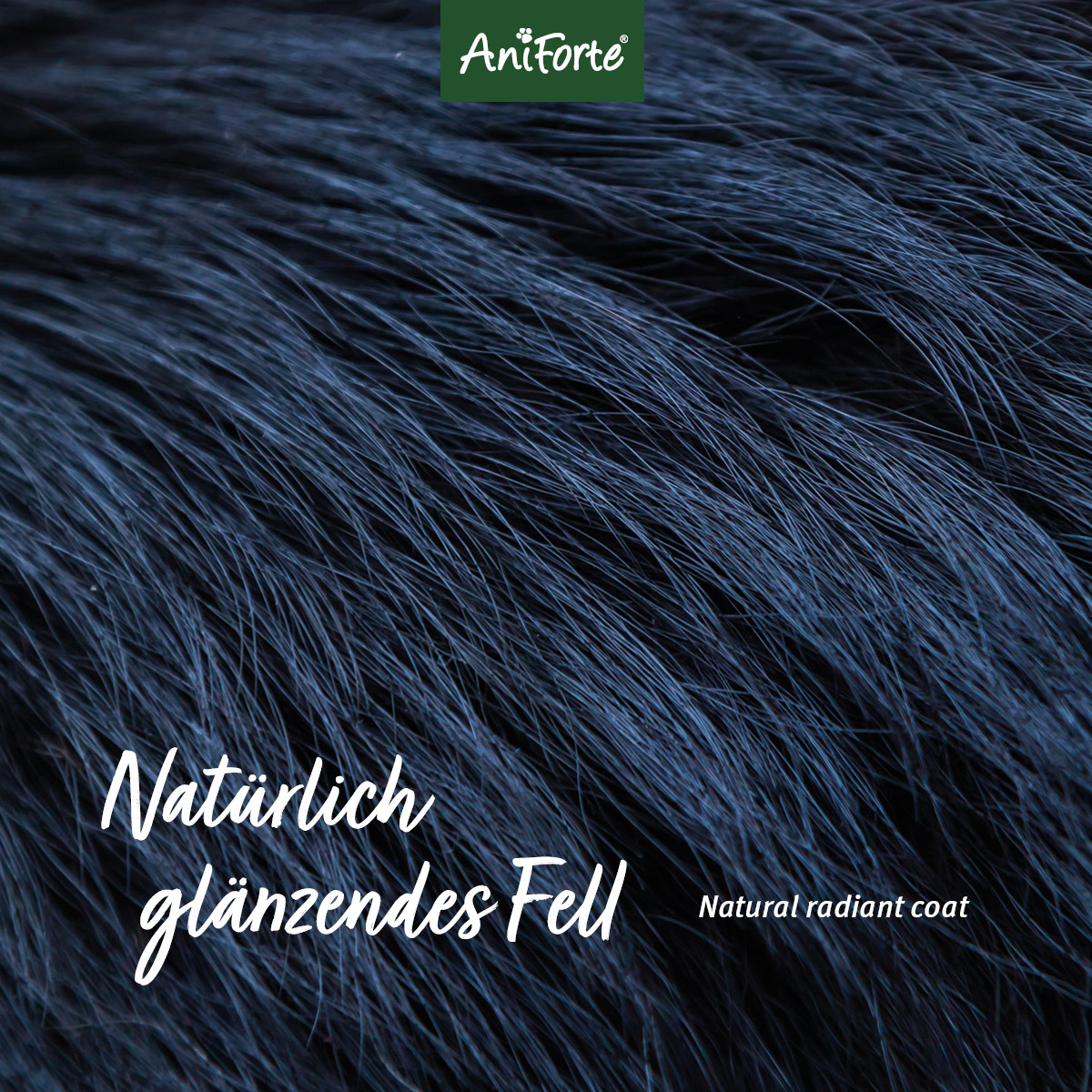Aniforte Fellpflege Aniforte Fellharmonie Conditioner Kokos 200ml