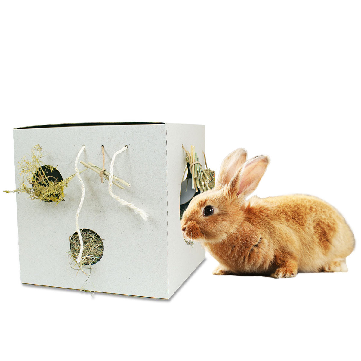 JR Farm PlasticFree Active-Box 1,1kg günstig kaufen