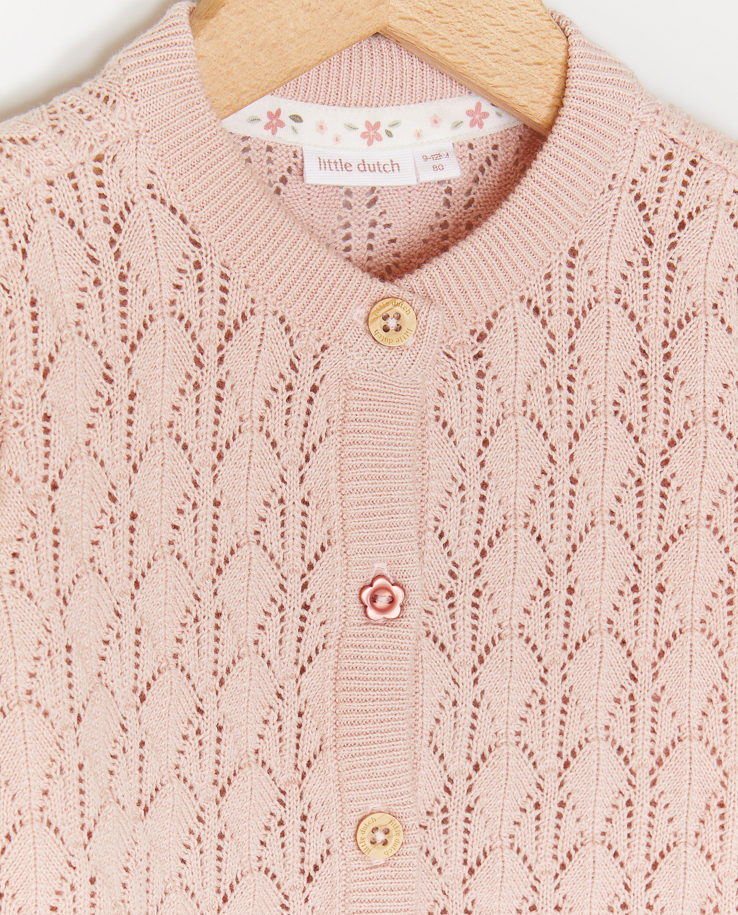 Micul Cardigan olandez sa întâlnit ajour roze