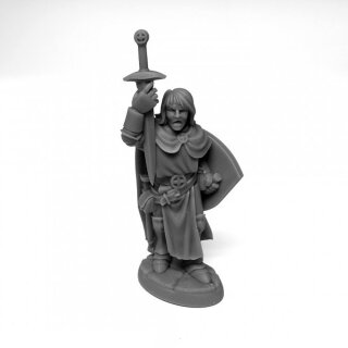 Sir Danarel the Holy