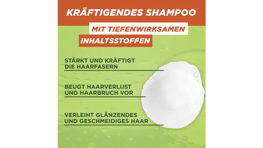 Garnier Fructis Shampoo Vitamine & Kraft 300 ml