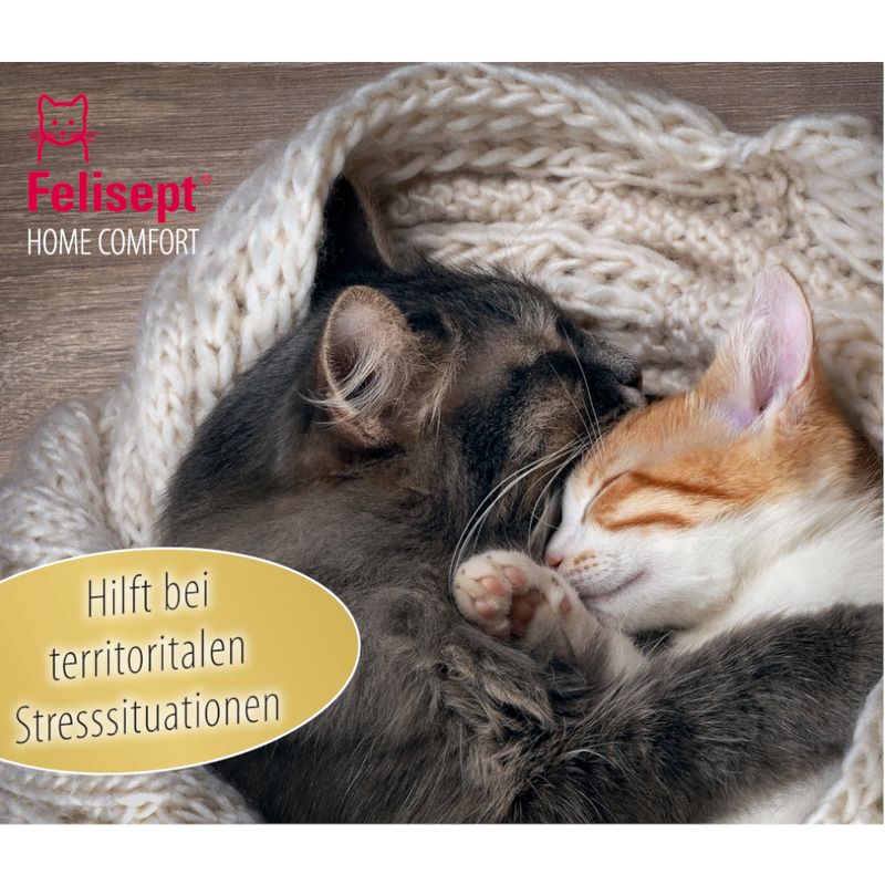 Felisept Home Comfort Beruhigungsspray zu TOP-Preisen | bitiba %