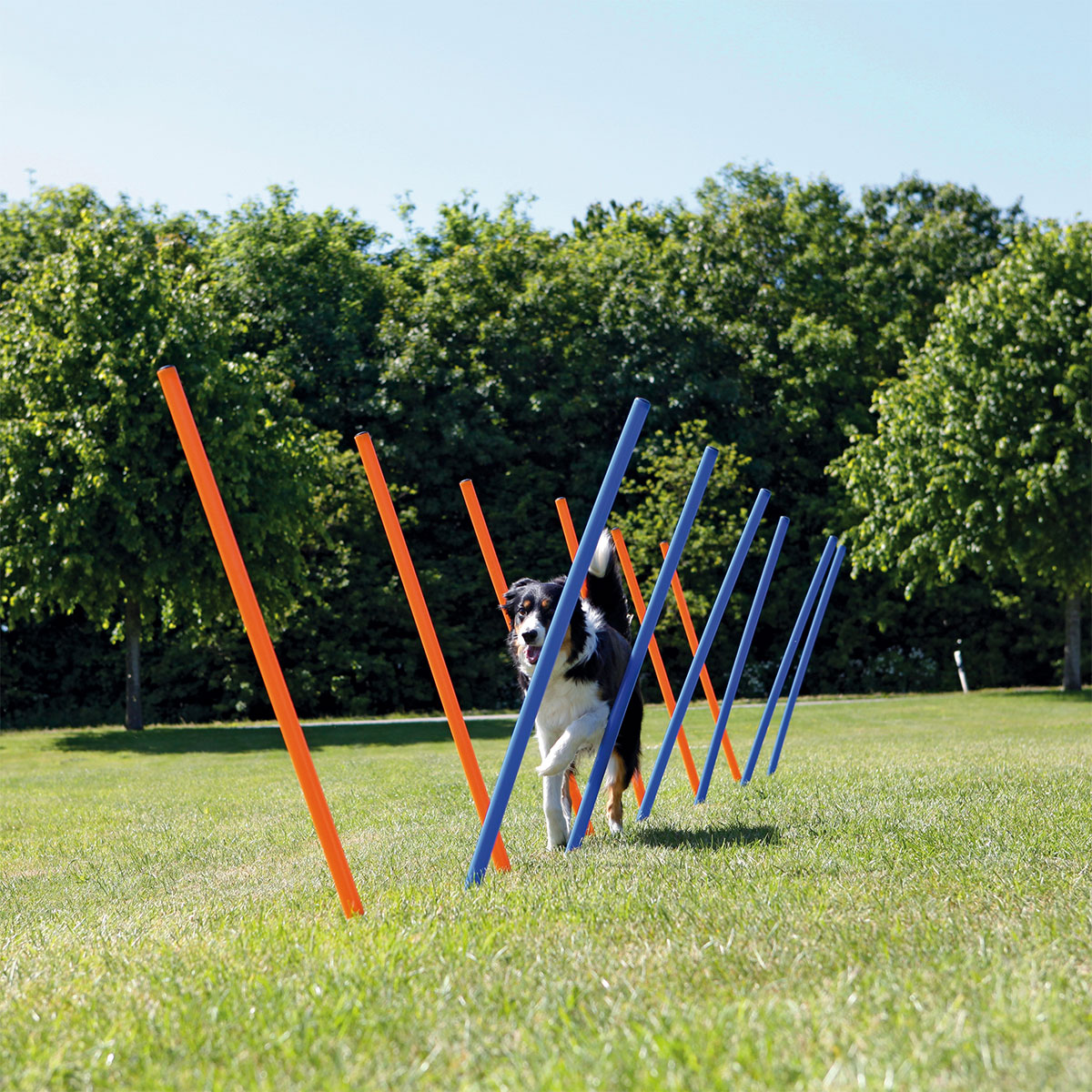 Trixie Dog Activity Agility Set vierteilig kaufen