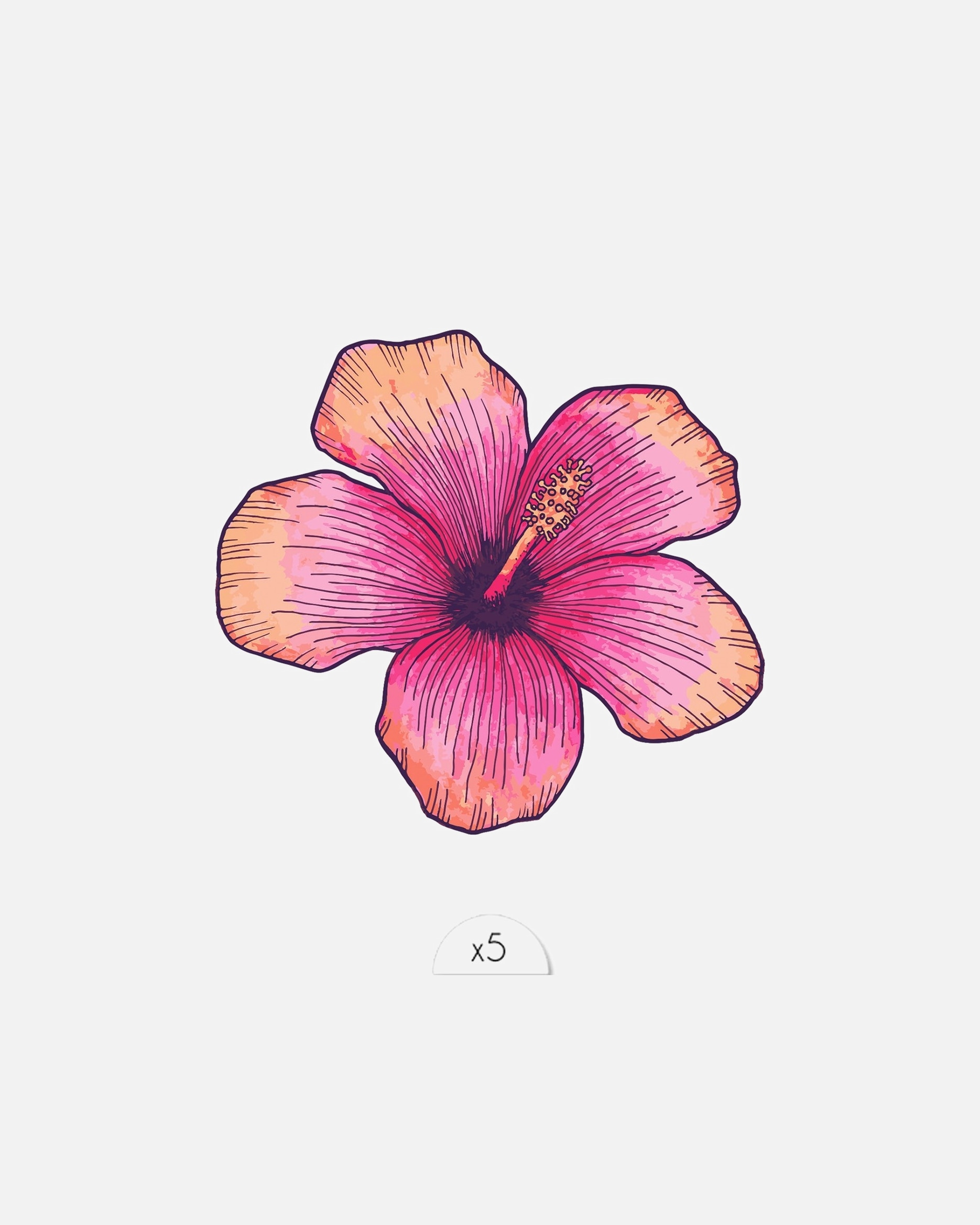 Hibiskus Sioou