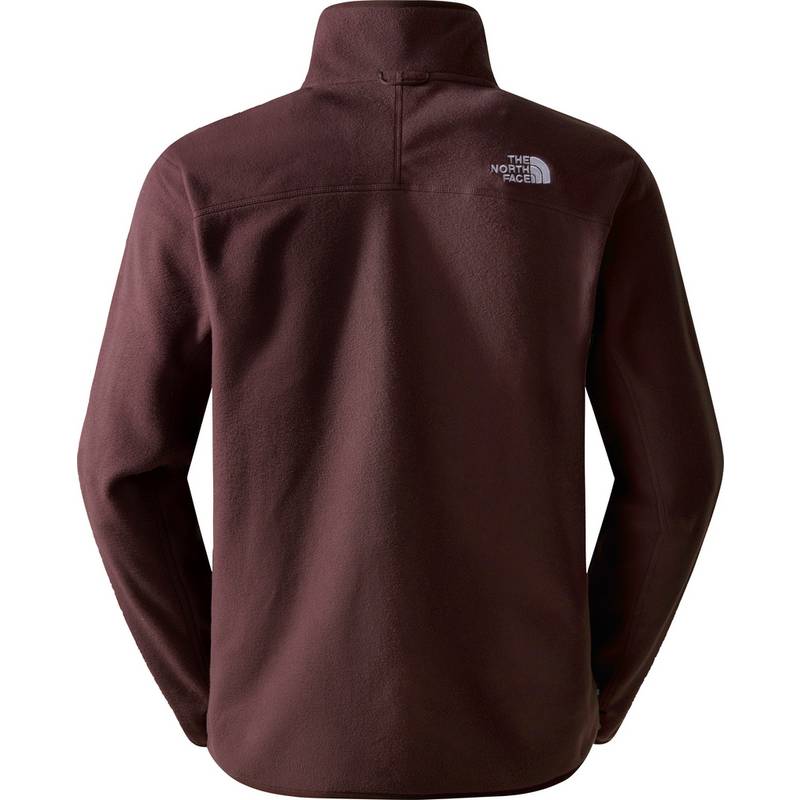 The North Face 100 GLACIER Fleecejacke Herren