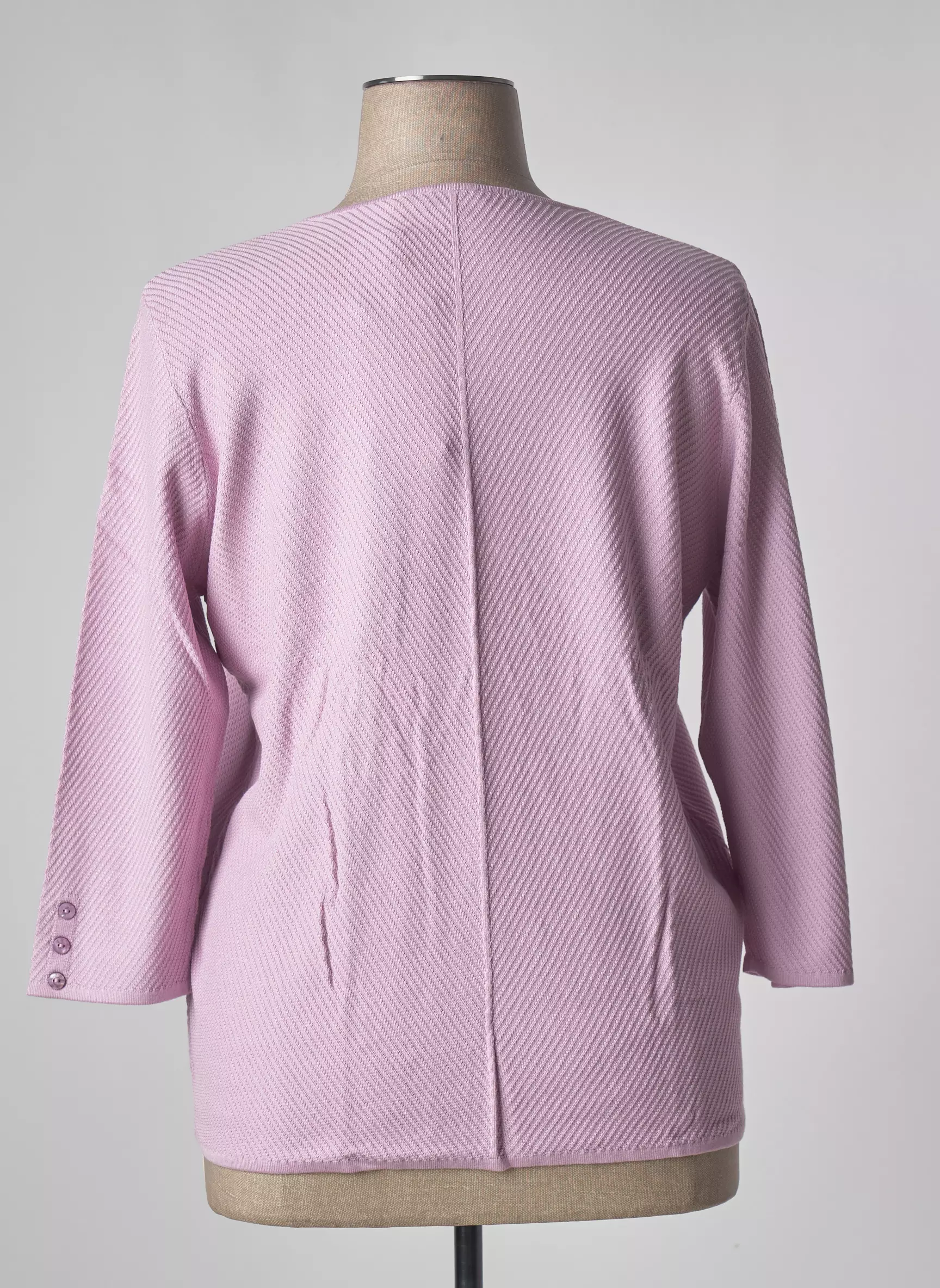 Rabe Pulls Femme couleur violet