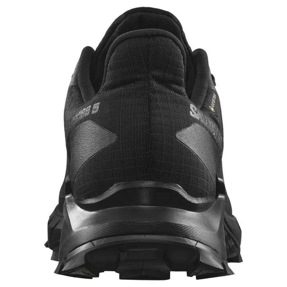 Salomon Alphacross 5 GTX L47310900 / schwarz