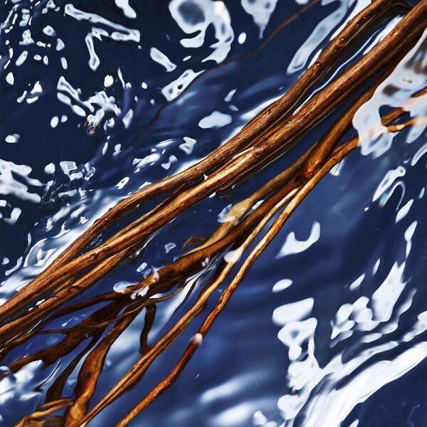Davidoff Cool Water Oceanic Edition Eau de Toilette