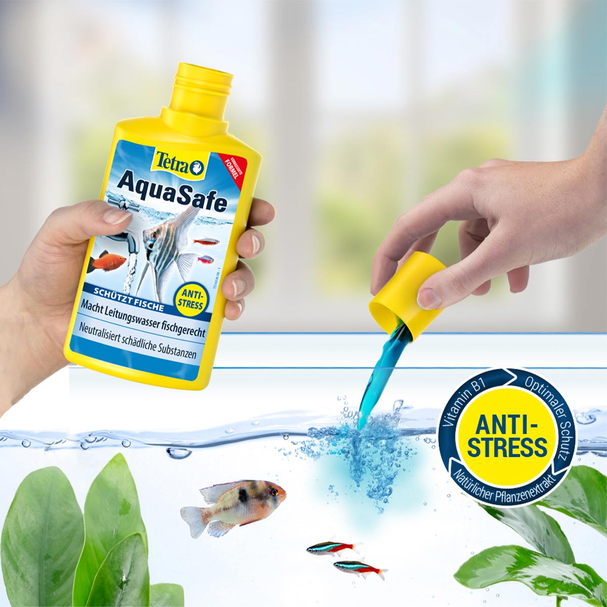 Tetra Wasseraufbereiter AquaSafe günstig kaufen