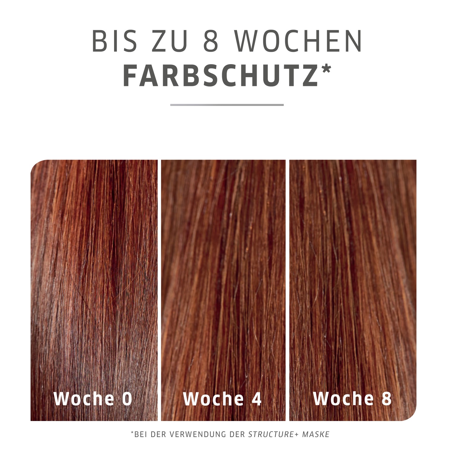 Farbschutz-Shampoo