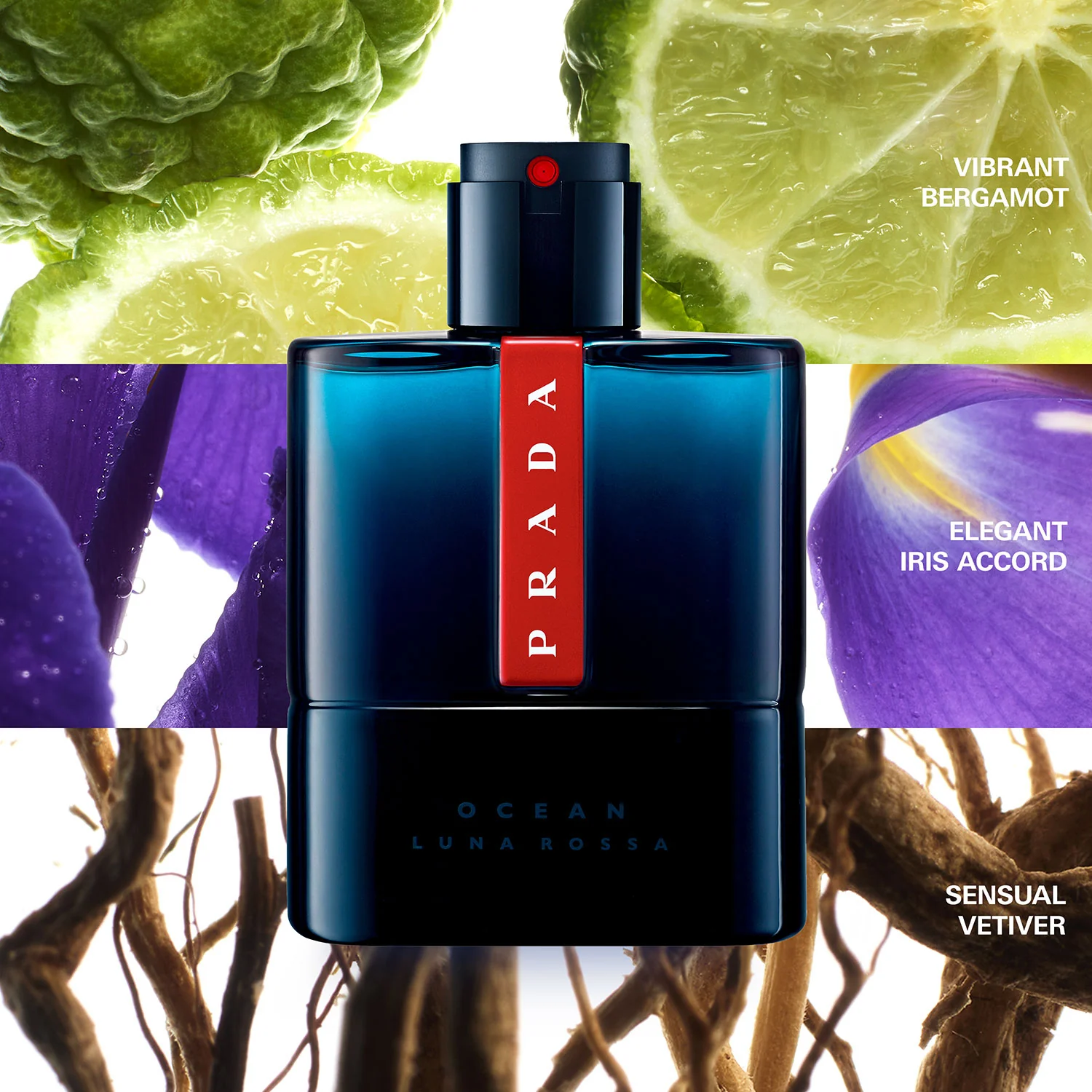 Luna Rossa Océano - Eau de Toilette