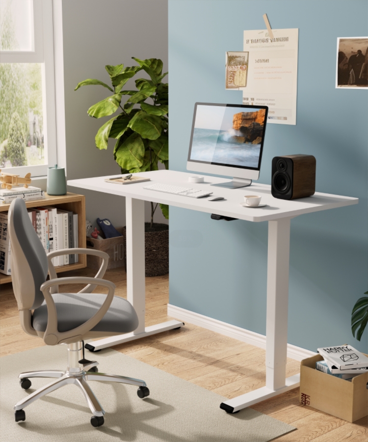 Flexispot Basic höhenverstellbarer Schreibtisch Weiß inkl. 140 x 80 cm Tischplatte Weiß Single Motor